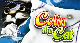 Colin The Cat