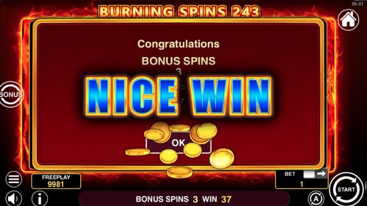 Burning Spins 243 Slot - 2 - BitStarz Casino