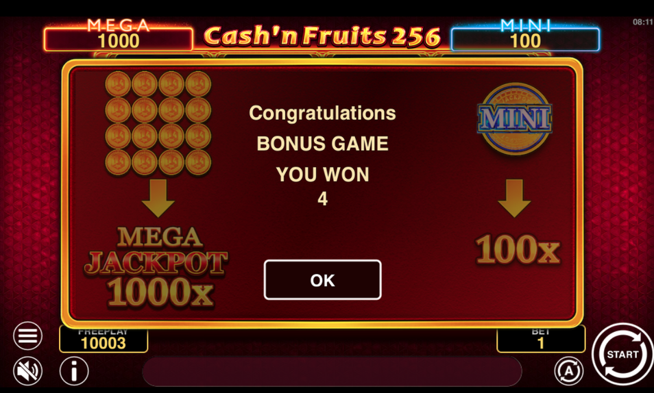 Cash'n Fruits 256 <span class=