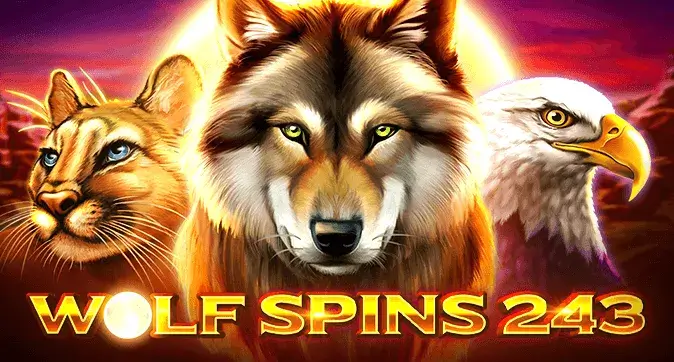 Wolf Spins 243