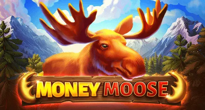 Money Moose