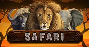 Safari