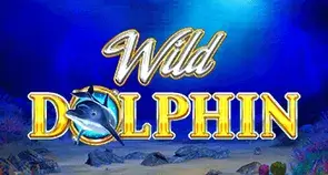 Wild Dolphin