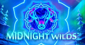 Midnight Wilds
