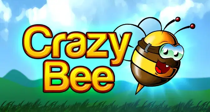 Crazy Bee